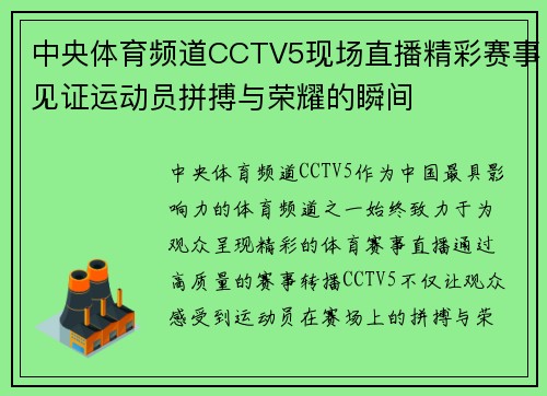 中央体育频道CCTV5现场直播精彩赛事见证运动员拼搏与荣耀的瞬间
